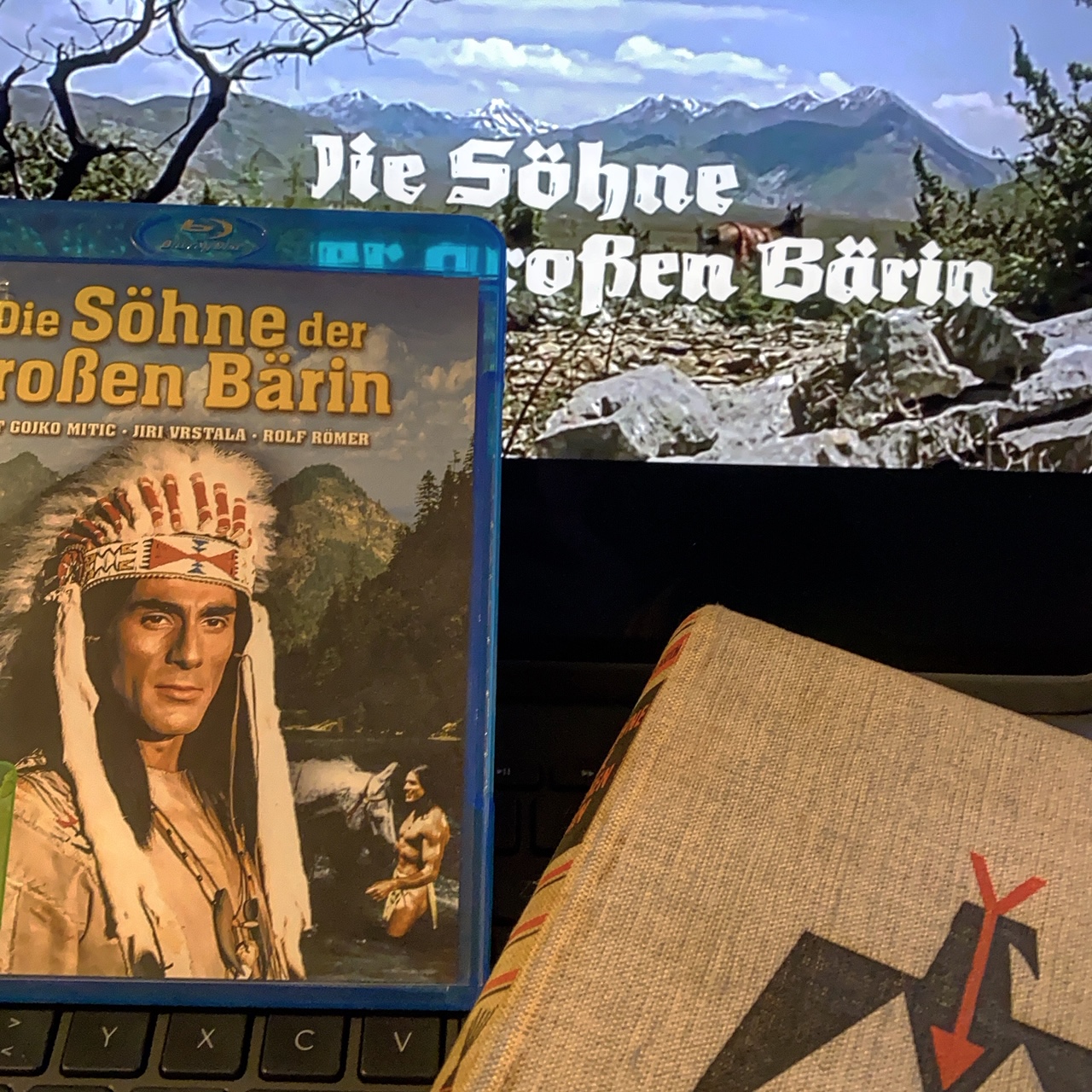 Die Söhne der Großen Bärin Erstausgabe LWH PROJEKT